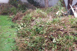 Green waste removal service in Sydney